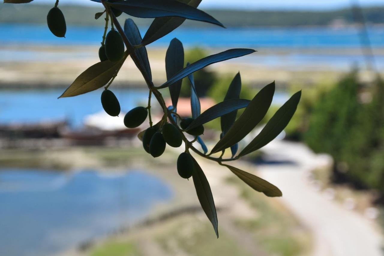 Olive Garden & Sea Apartments Portorož Eksteriør billede